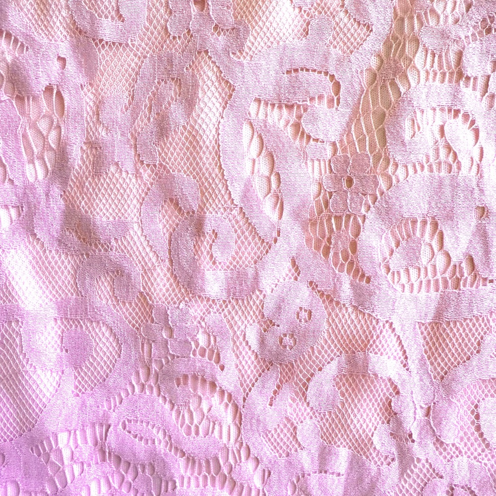 TOBI lavender/pink lace scalloped hem skirt size S NWT - Picture 5 of 9